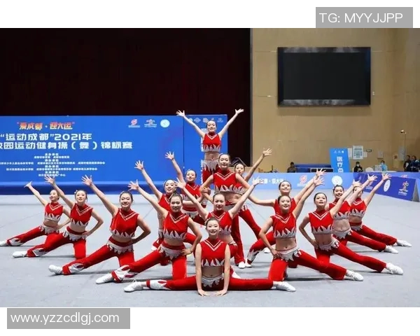 成都排球队在锦标赛中的团队协作展现出色值得赞赏与反思