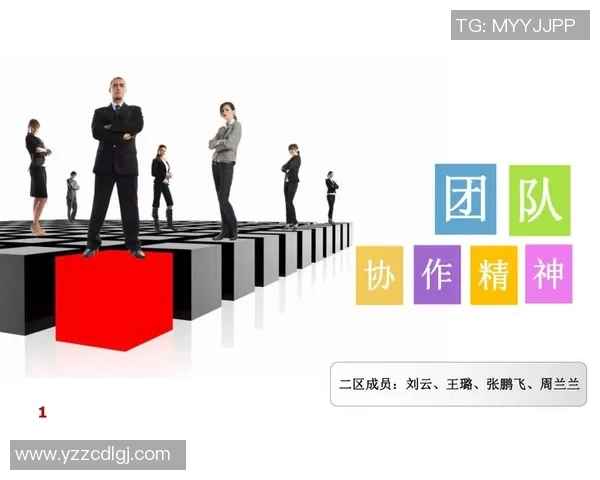 西安排球队的团队协作与战术配合深度分析与探讨